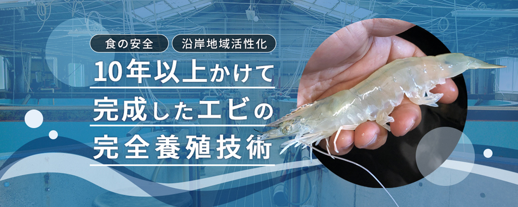 「エビの輸入率約92％問題」を国内完全養殖技術が解決。“食の安全”から”地域活性”まで貢献するエビベンチャー登場