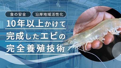 「エビの輸入率約92％問題」を国内完全養殖技術が解決。“食の安全”から”地域活性”まで貢献するエビベンチャー登場