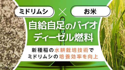 光合成“させない”ミドリムシ（ユーグレナ）培養技術！バイオディーゼル燃料高効率製造プラントで環境問題に挑む「Revo Energy」
