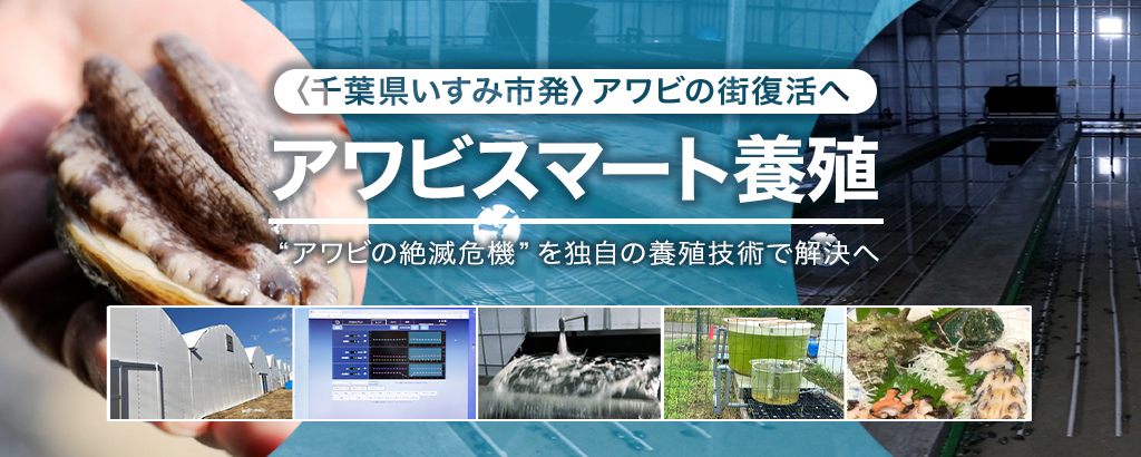 “アワビ絶滅危機”を救うスマート養殖誕生。ICT技術など活用で、1人で50台の水槽管理を実現。排水等の活用でノリ、ナマコの養殖も可能に