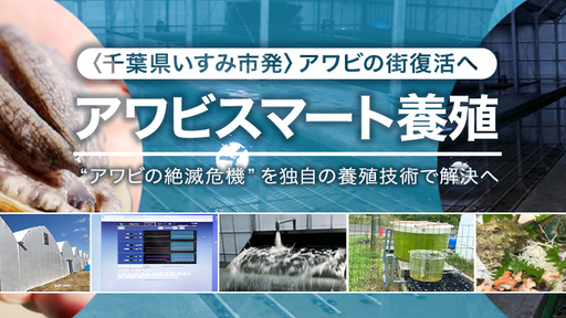 “アワビ絶滅危機”を救うスマート養殖誕生。ICT技術など活用で、1人で50台の水槽管理を実現。排水等の活用でノリ、ナマコの養殖も可能に