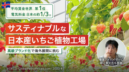 ＜堀江貴文氏が参画＞平均賃金世界第1位のアイスランドで「日本産いちご植物工場」始動。自然エネルギー活用で低コストな“次世代農業”を展開
