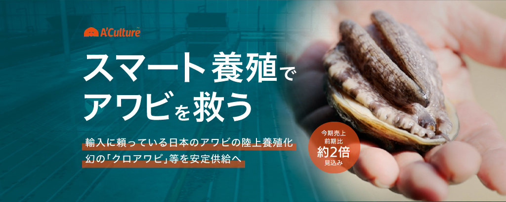＜前回募集で大人気＞大手から商談急増。国産アワビのスマート養殖「A’Culture」