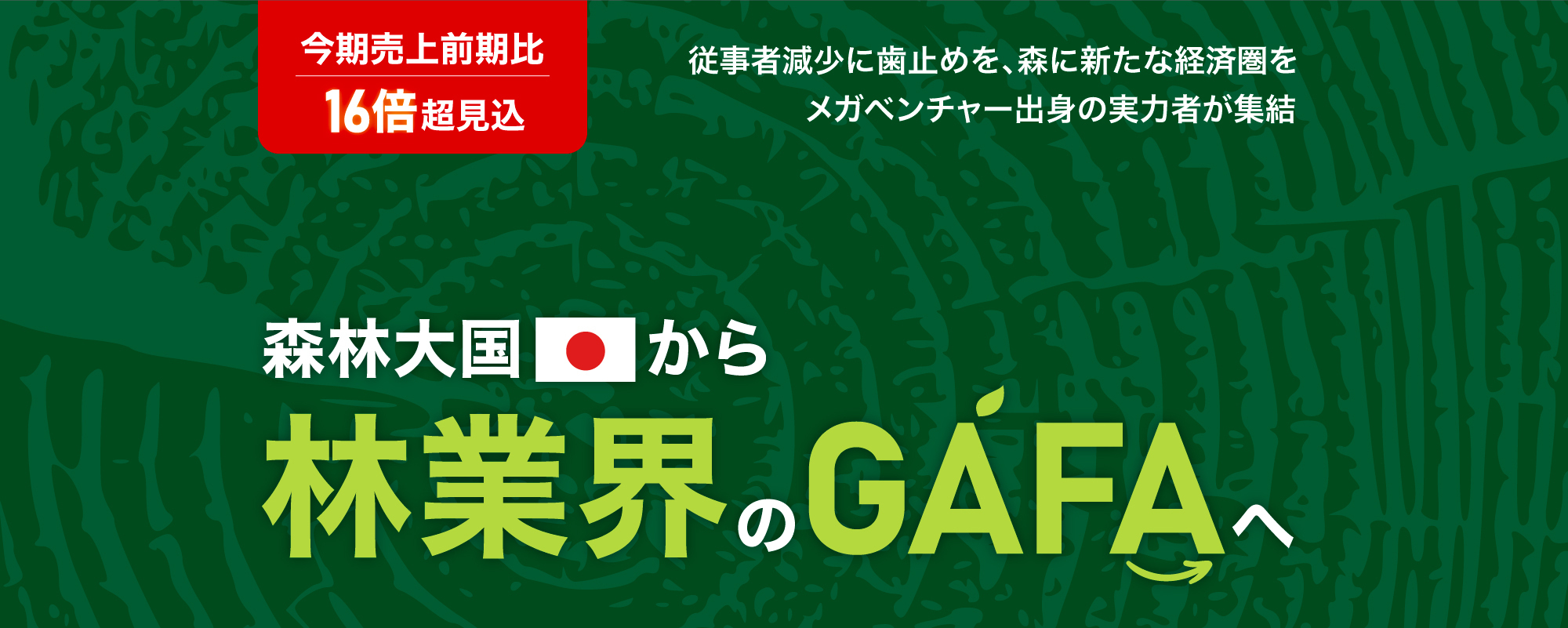 〈売上前期比16倍超見込〉森林大国から「林業界のGAFA」へ。メガベンチャー出身の実力者集団が業界の従事者不足を解決し森に新たな経済圏をつくる「RINDO」