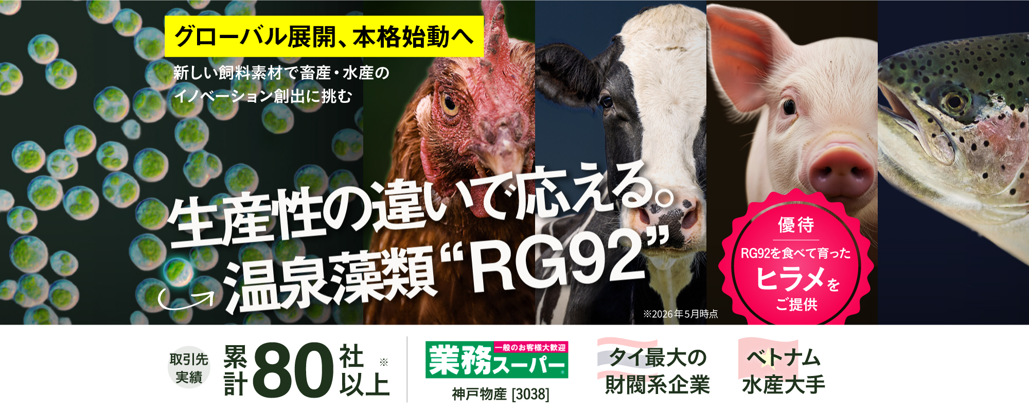 〈国内外大手含む80社超が導入〉温泉由来の微細藻類「RG92」で世界の畜産・水産にイノベーションを巻き起こす。海外大規模生産者との実証も始動した次世代飼料ベンチャー「ONSOH」