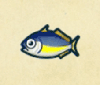 アジ