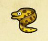 ウツボ