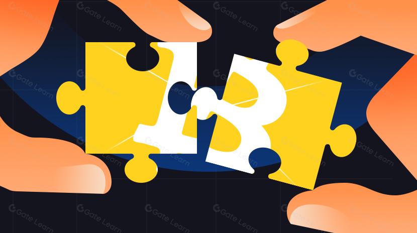 熱門Bitcoin擴容解決方案概覽