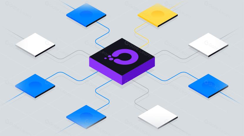 什么是Orchid协议？关于OXT你需要知道的一切