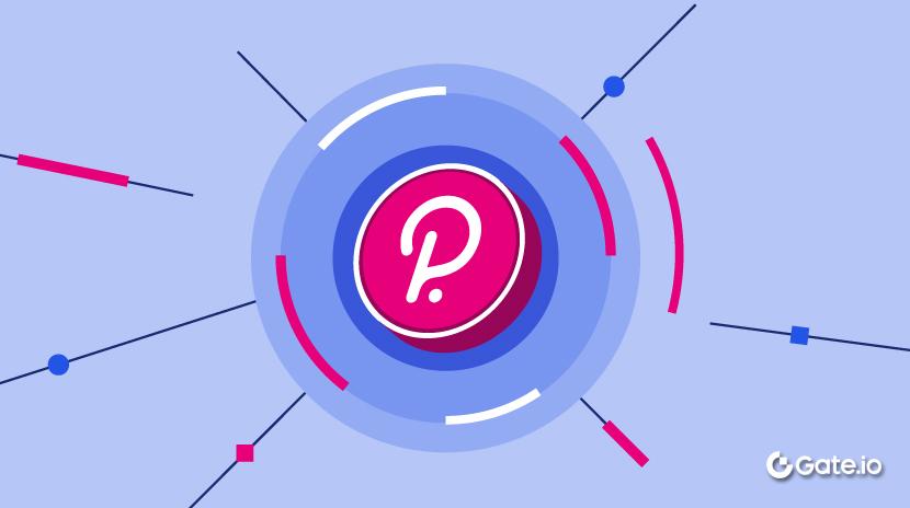 ​​什么是Polkadot？