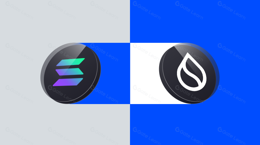 全方位评估，风头正盛的Sui能复刻Solana上一轮牛市的势头吗？