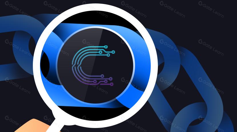  ZK DePIN Hardware Acceleration and Compute Power Network Leader Cysic