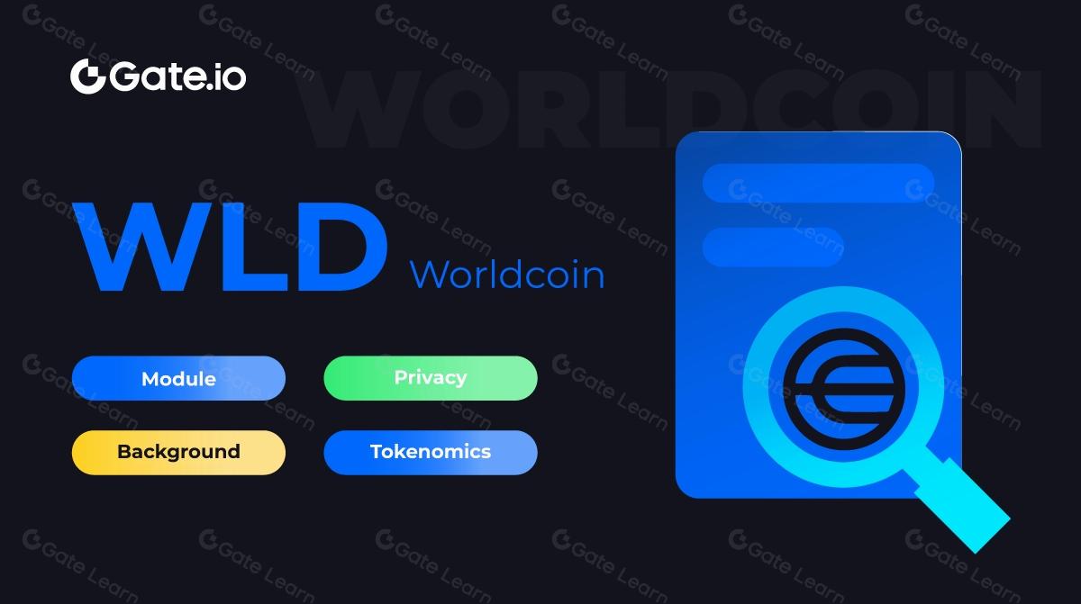 Worldcoin (WLD) Research Report