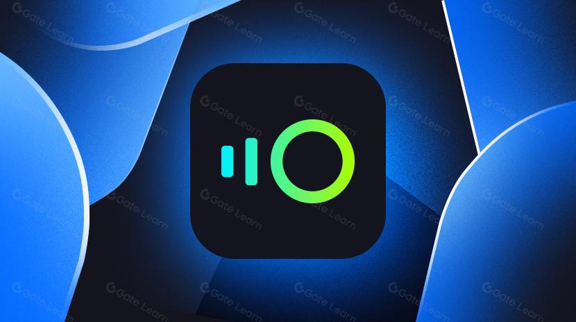 ما هو INSP؟ كل ما تحتاج إلى معرفته حول INSP