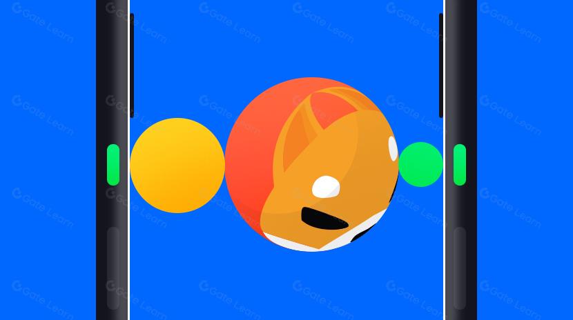 Speculative Swells and the Memecoin Aftermath