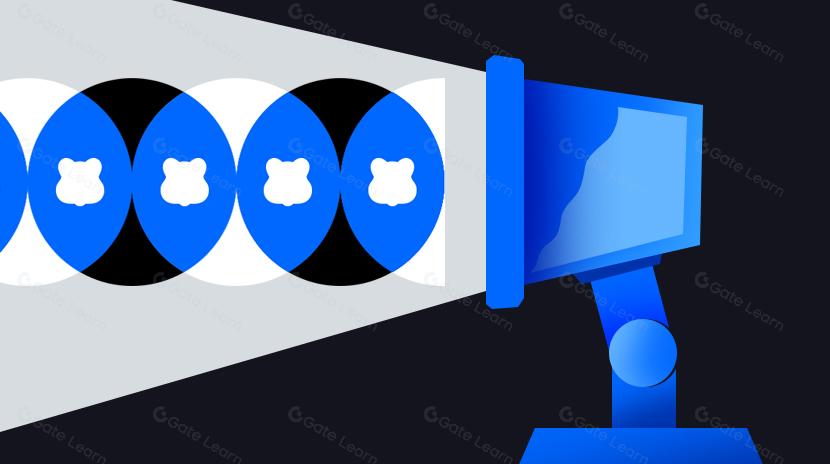 新鋭公鏈的探索:熊鏈 Berachain 技術、社區與未來｜CryptoSnap