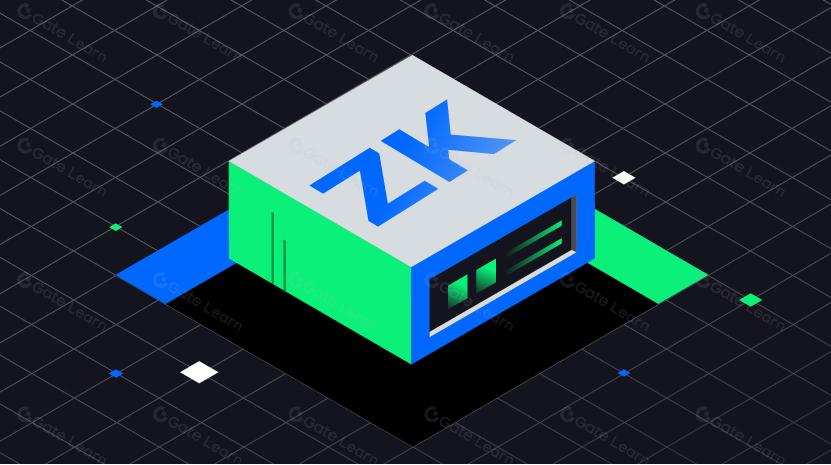 ZK new use cases, in-depth discussion of co-processors and various solutions