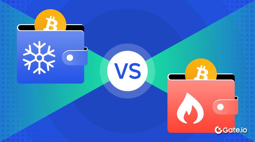 Hot Wallet vs. Cold Wallet
