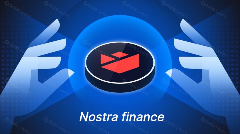 All You Need to Know about Nostra Finance (2025) 
