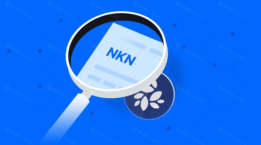 What is NKN? All You Need to Know About NKN