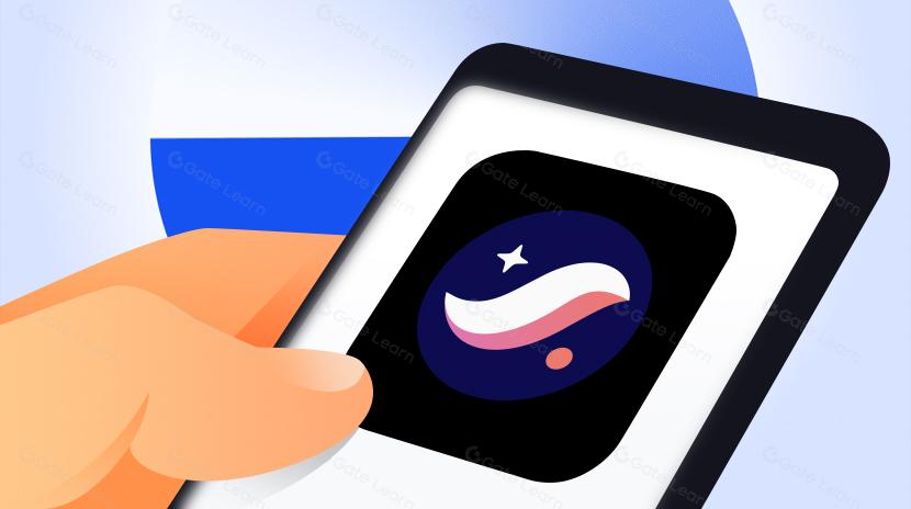 Analysis of Starknet Airdrop and Its Ecosystem