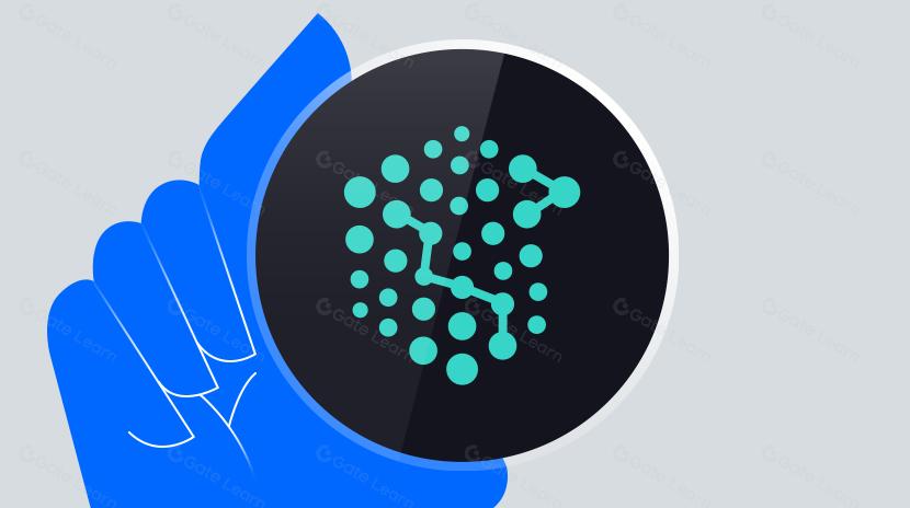 What is Verida Network?