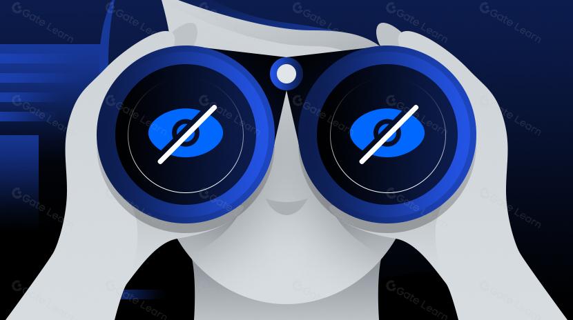 O que são Privacy Coins?