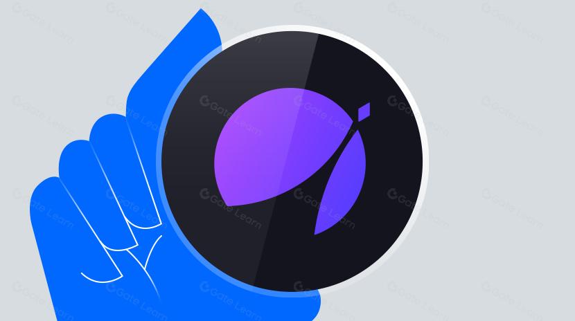 什么是APX Finance（APX）？