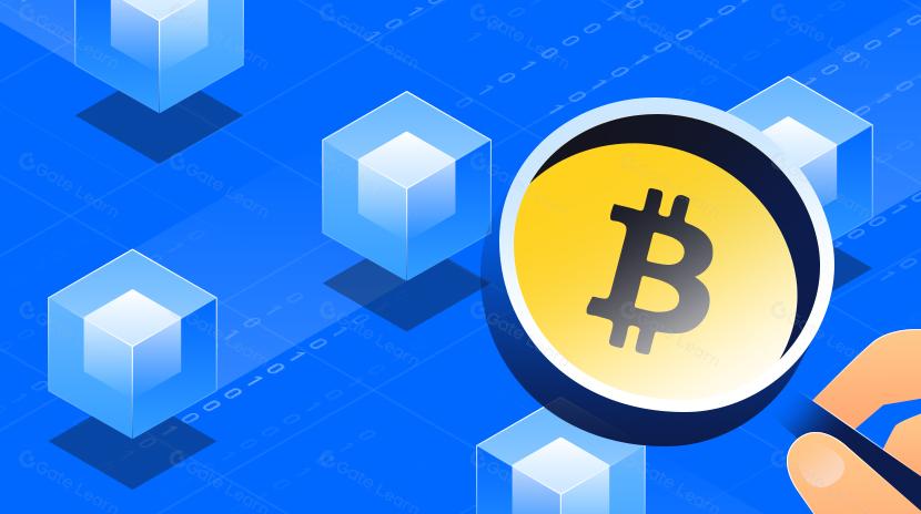 The Path of Blockchain Applications Behind Inscriptions