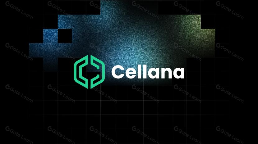Cellana Financeとは何ですか？