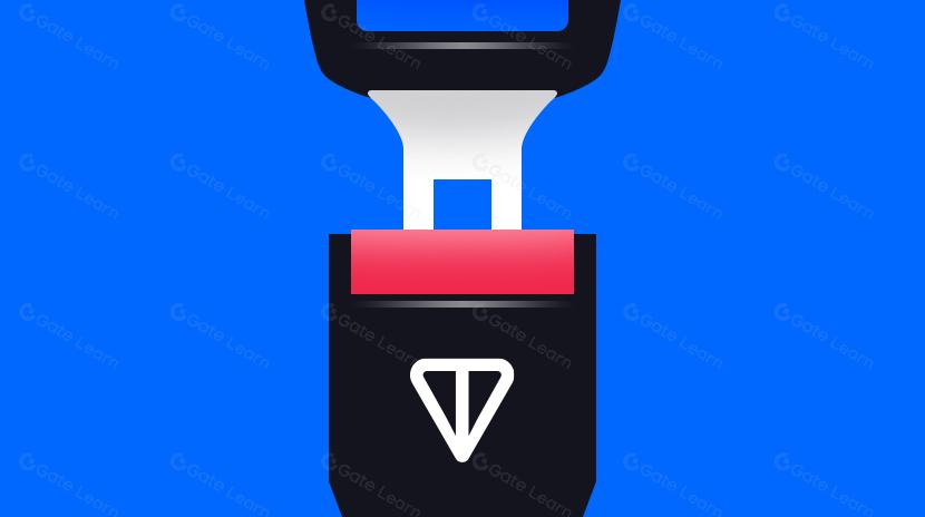 The Path to Compliance and Risk Assessment of the TON Chain: Coexisting Prospects and Challenges