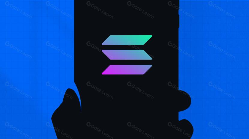 Solana生态系统的演变：从‘以太坊杀手’到公链创新先锋