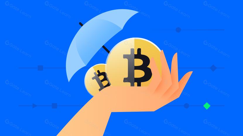 一文读懂 InsurAce(INSUR)