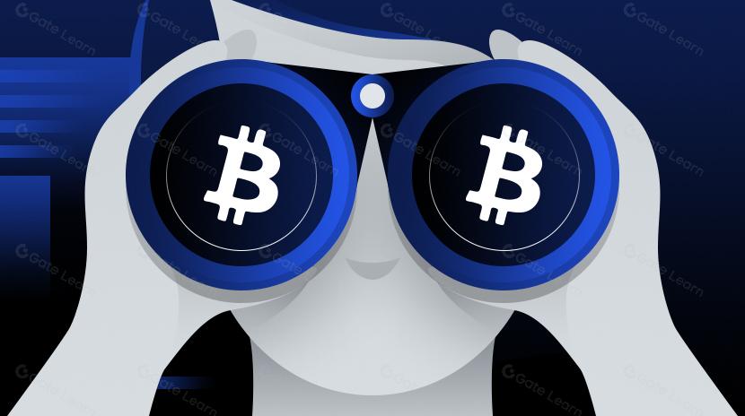 The Witness Discount: Wh Some Bytes Are Cheaper Than Others