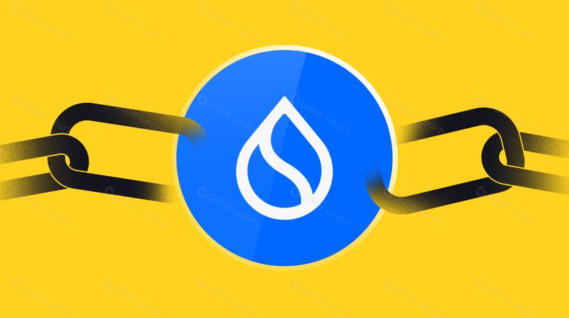 什么是Sui区块链？