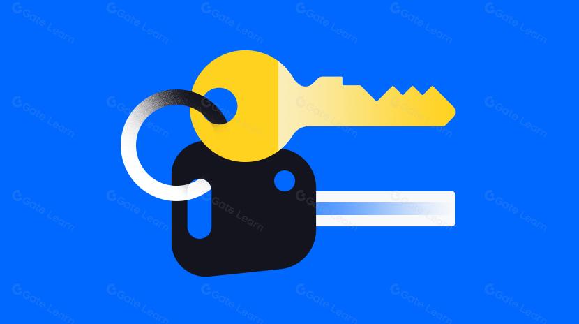 Uma Introdução à Criptografia Baseada em Registro