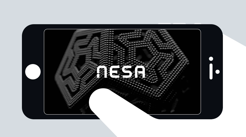 ما هي شبكة نيسا؟