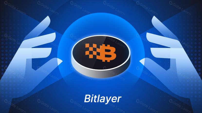 Bitlayer核心技术：DLC及其优化考虑