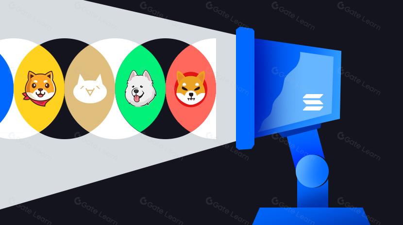 The Solana Memecoin Crash Course