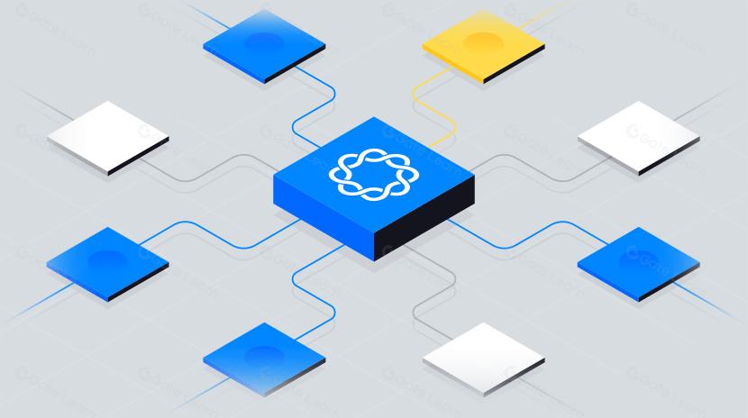 From Beginner to Expert in the Bitcoin Ecosystem