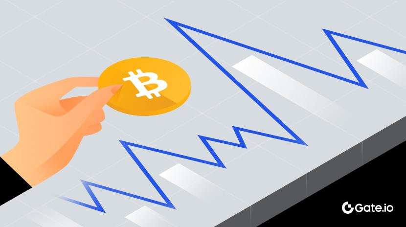 What is a Crypto Index Fund?