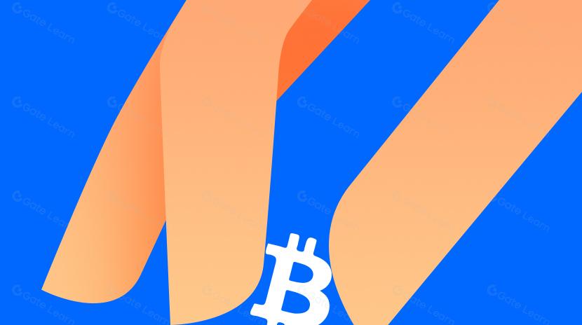 Activer ZK dans Bitcoin: De OP_CAT à State Proofs et BitVM