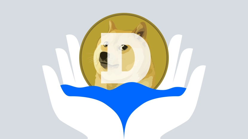 An Overview of Musk's Love-Hate Relationship with DOGE