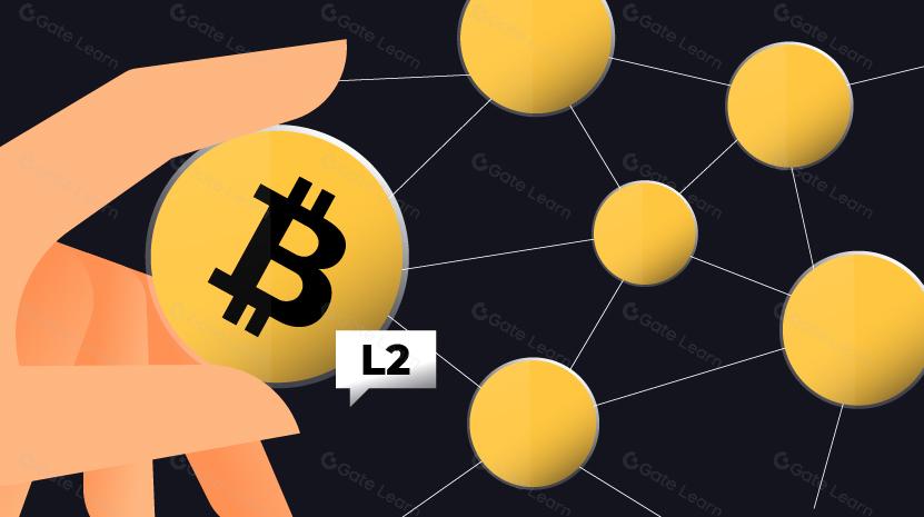 8 Bitcoin L2s 