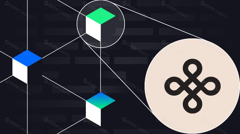 一文读懂模块化区块链项目 Dymension