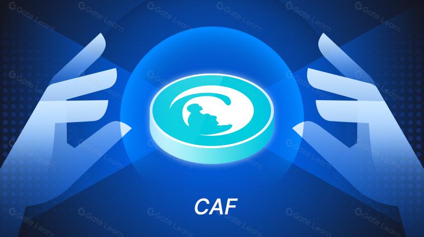 Introduce the blockchain children's charity project CAF