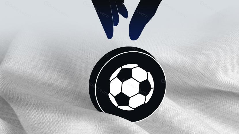 什么是粉丝代币（Fan token)？