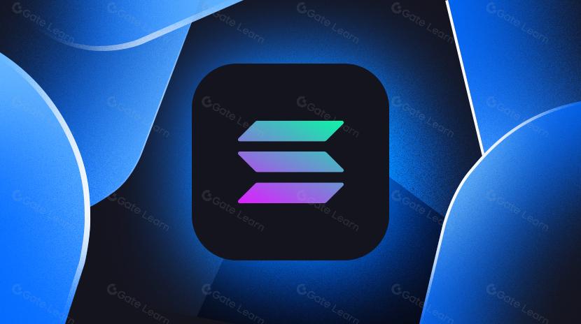 从基础设施层到消费者应用，一览 Solana 生态全景