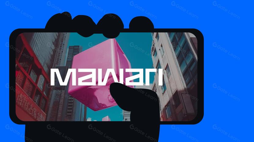 Di Dalam Mawari: Membangun Masa Depan Streaming Konten 3D Terdesentralisasi