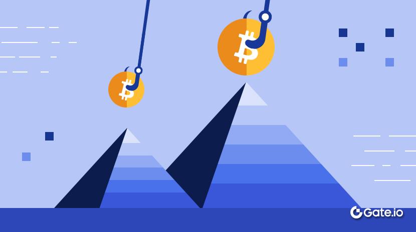 Pyramid and Ponzi Schemes